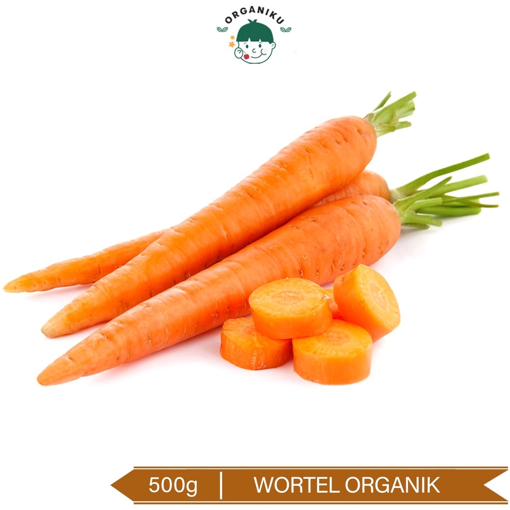 

Harga Obral Wortel Organik Organic Carrot 5g PV