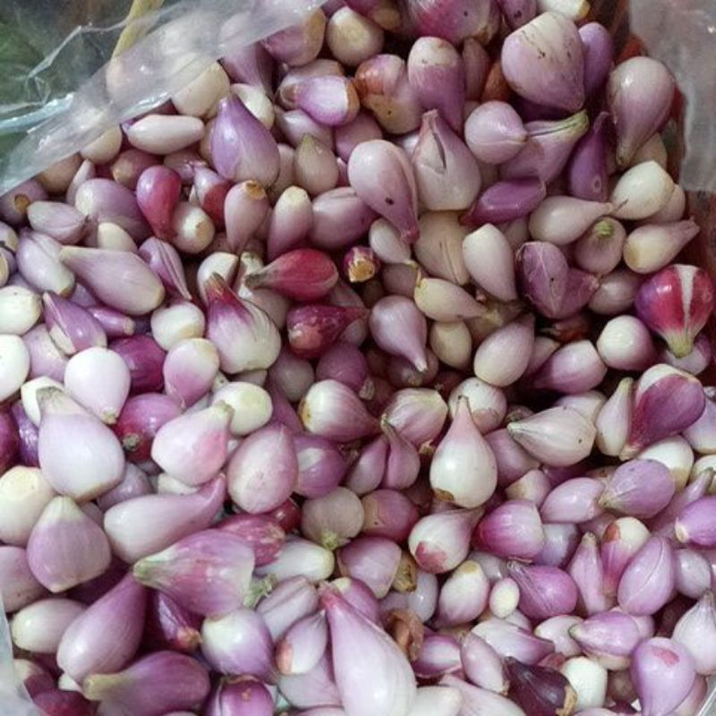 

Bawang Merah Kupas 500g