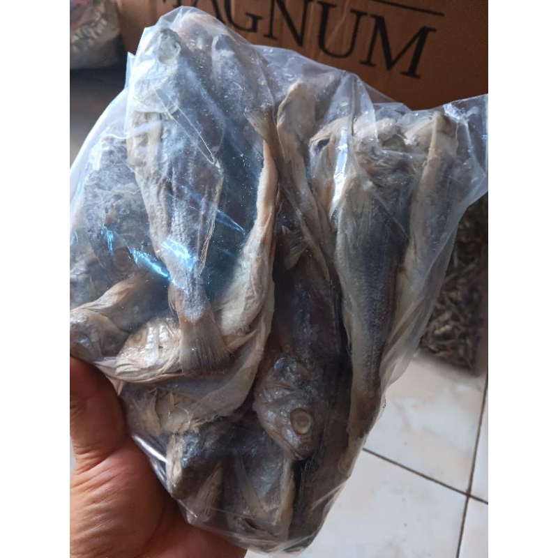

Ikan asin kepala batu