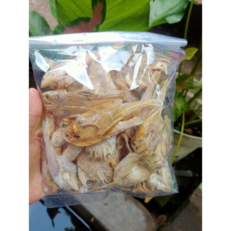 

Ikan Asin Bulu Ayam Tawar 50g