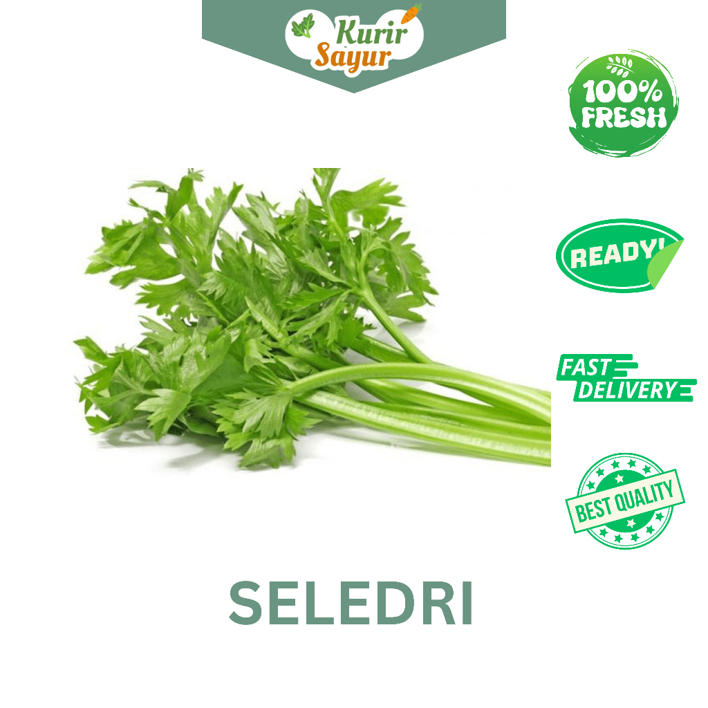 

KURIR SAYUR - SELEDRI SEGAR 1 IKAT ± 100 GR