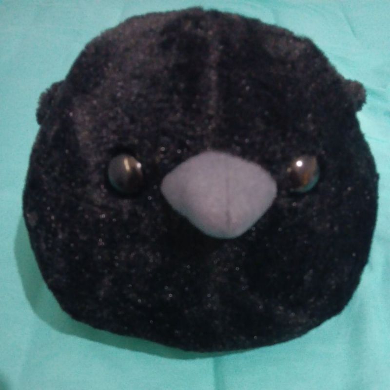 [SALE] Burung Gagak Amuse Boneka - new tag , Burung Gagak Hitam - Kotori (d. 30cm)