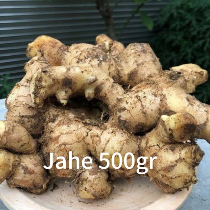 

Jahe 500gr rempah rempah bumbu dapur jamu alami jahe segar