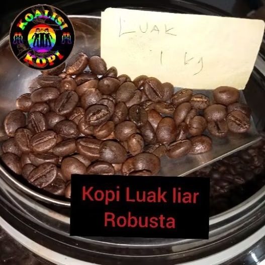 

Kopi Luak Liar Robusta, Rasanya enak, mantab wangi, Berat 250g, 500g, 1Kg