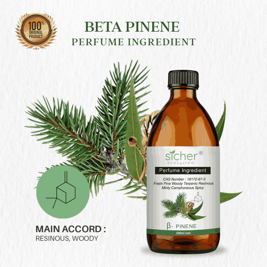 Sicher Natural Isolate Oil (Perfume Ingredient / RAW Material) Beta Pinene 500ml