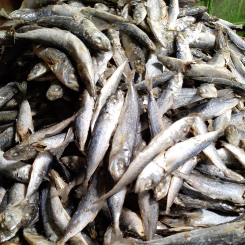 

ikan rebus 1kg>50.000