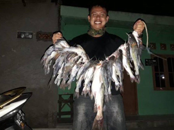 Terlaris Umpan Kucur Ryan Fernandez 12 Kg