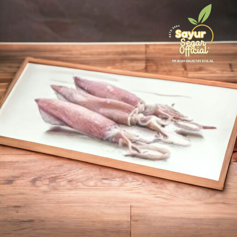 

Cumi Sedang Segar 500gr / 1 kg - Kirim Instan