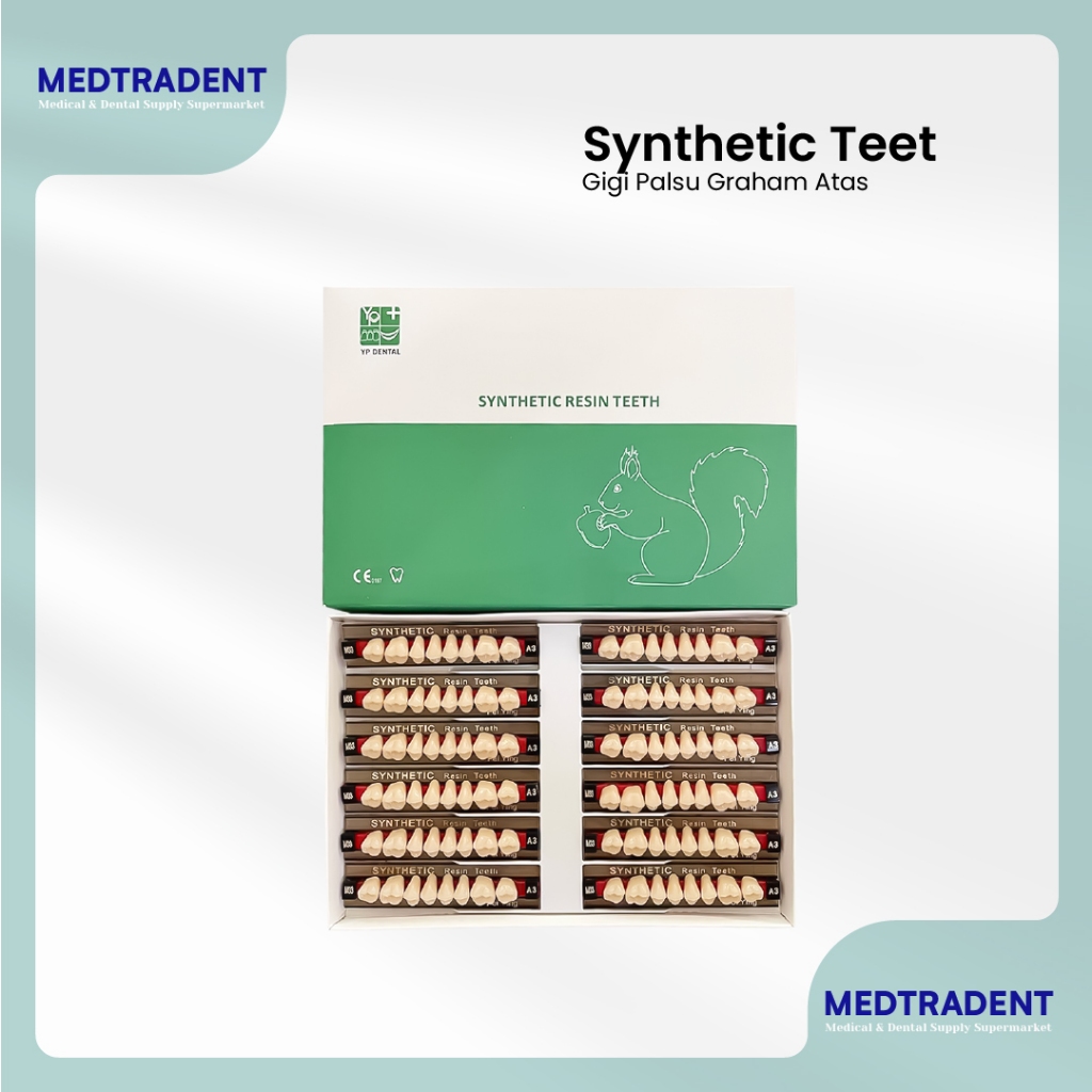 Medtradent - Gigi Sintesis YP Dental Graham Atas 1 Box