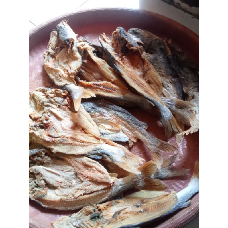 ikan asin sembilang