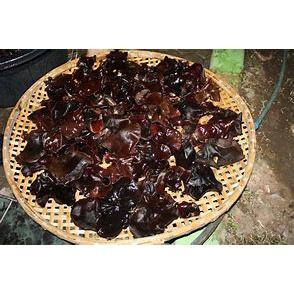 

jamur kuping per pack 1 50gram