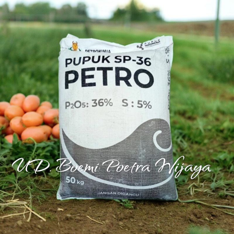 PUPUK SP-36 PETROKIMIA ORIGINAL 100% 50kg