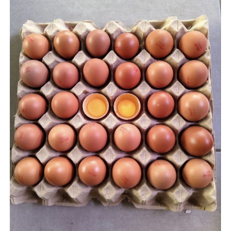 

Telur ayam negri Fresh, Super Quality isi 30 butir/tray (size kecil)