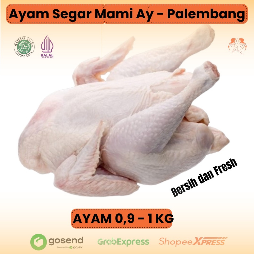 

Daging ayam boiler segar utuh 0,9 -1 kg