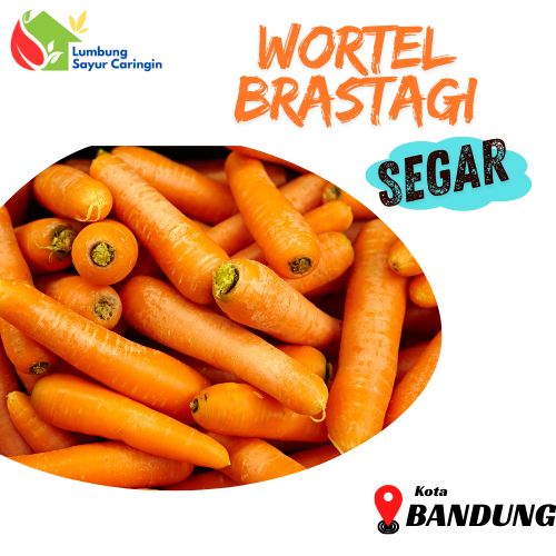 

Wortel Brastagi Segar Bandung