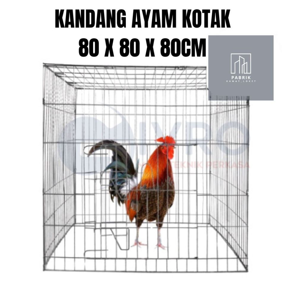 KANDANG AYAM UMBARAN KOTAK GALVANIS