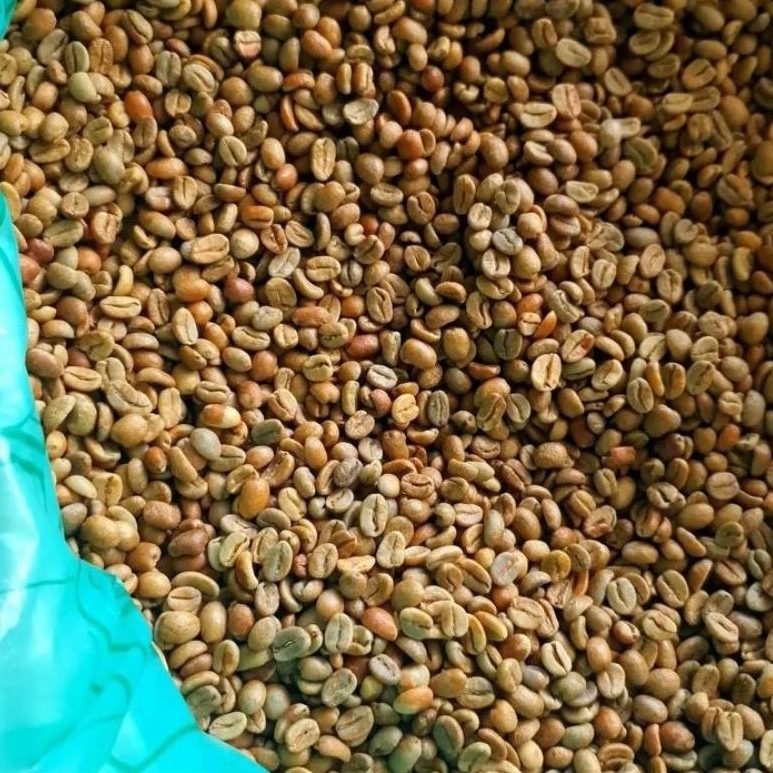 

Greenbean Arabika Argopuro Natural small beans