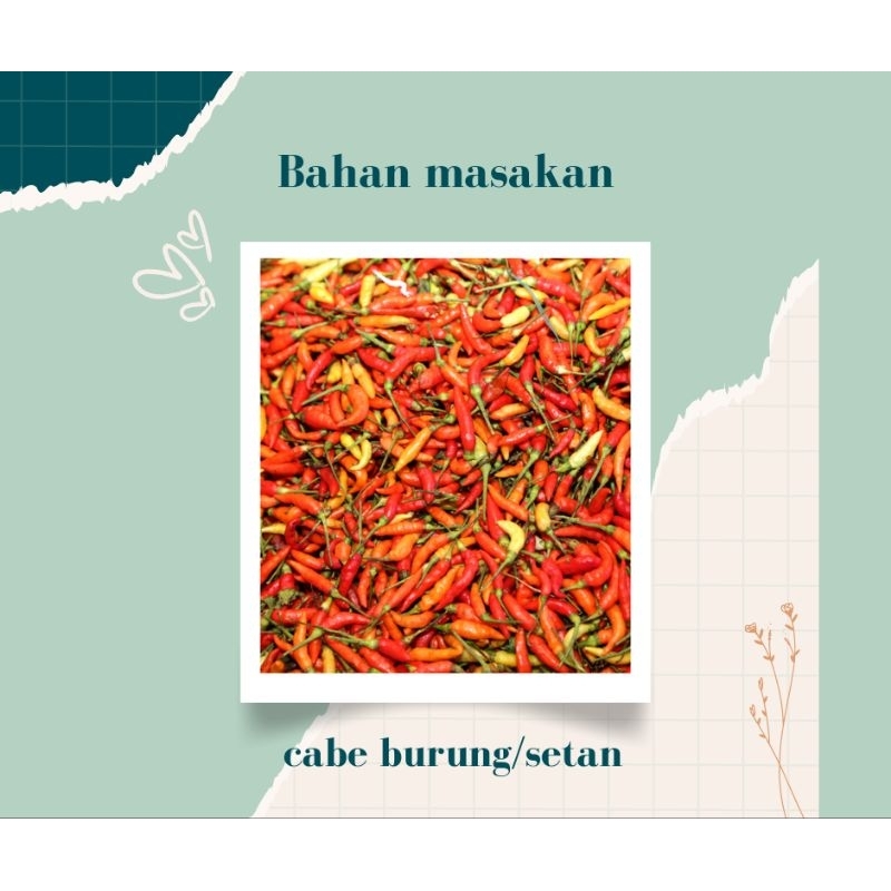 

CABE BURUNG/SETAN SUPER PEDAS FRESH KERING