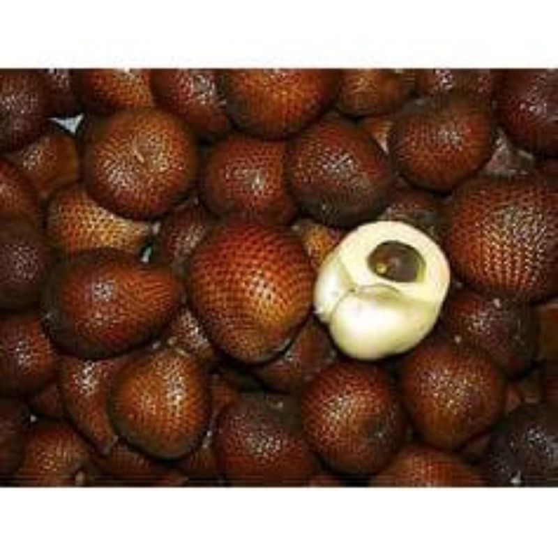 

Salak Pondoh 1 kg