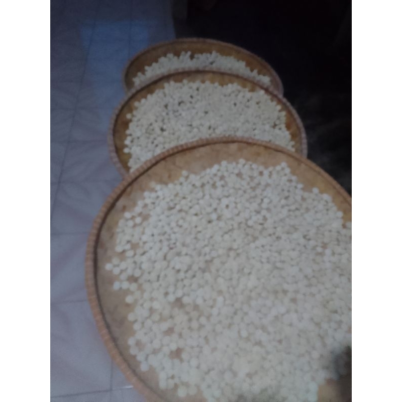 

RAGI TAPE SINGKONG BUMBU LEVEL TINGGI KHUSUS SINGKONG TUA (SUSAH MATANG) ANTI GAGAL