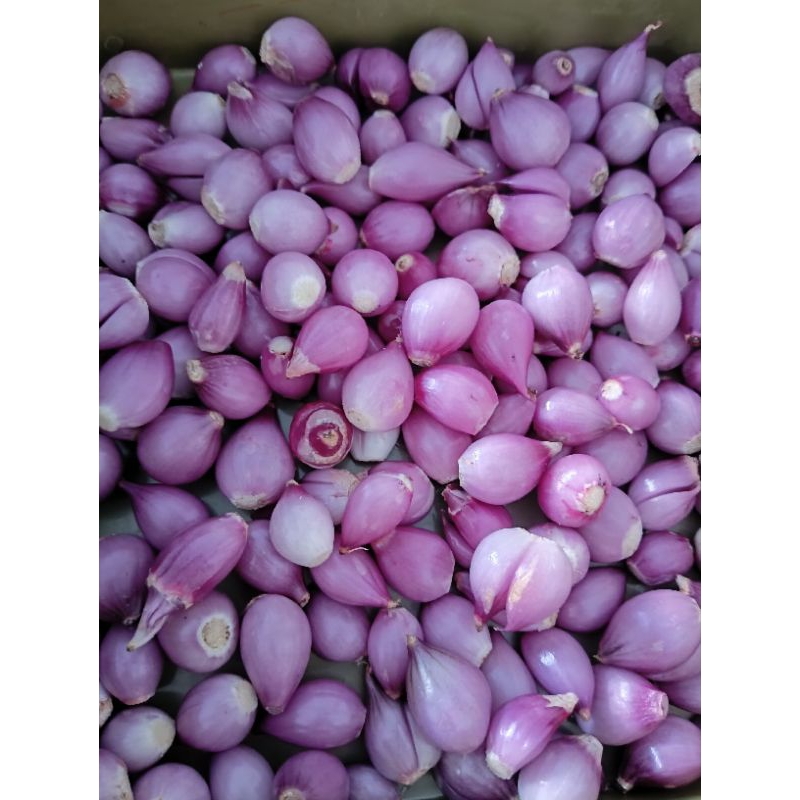 

SATU DUS BAWANG MERAH KUPAS KECIL 1 KG