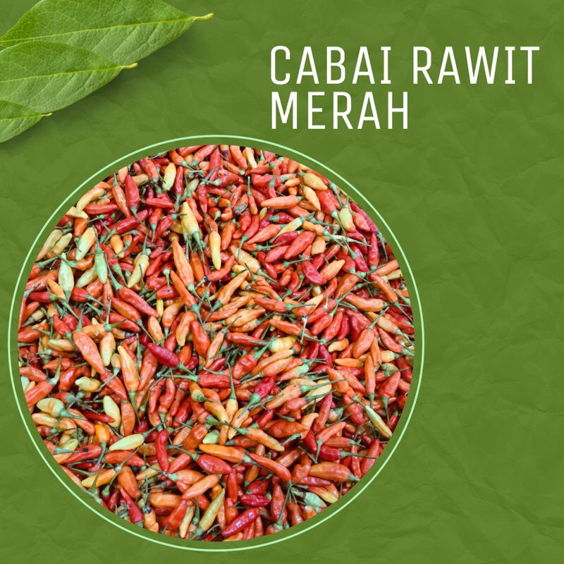 

Cabai Rawit Merah