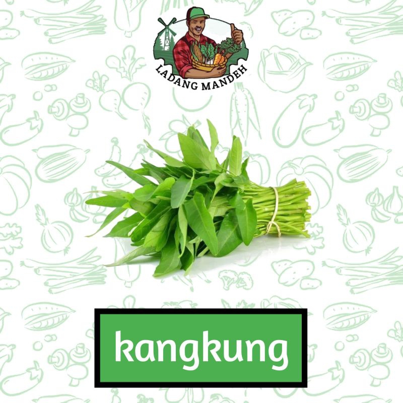 

KangKung Hijau Per Ikat Ladang Mandeh