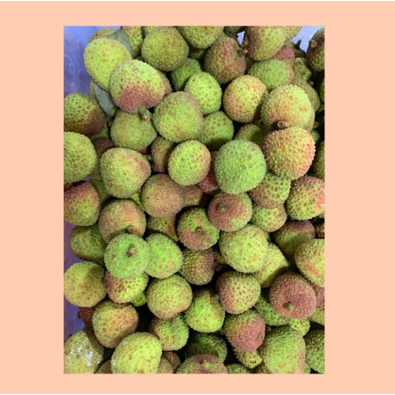 

Buah leci / Leci fresh