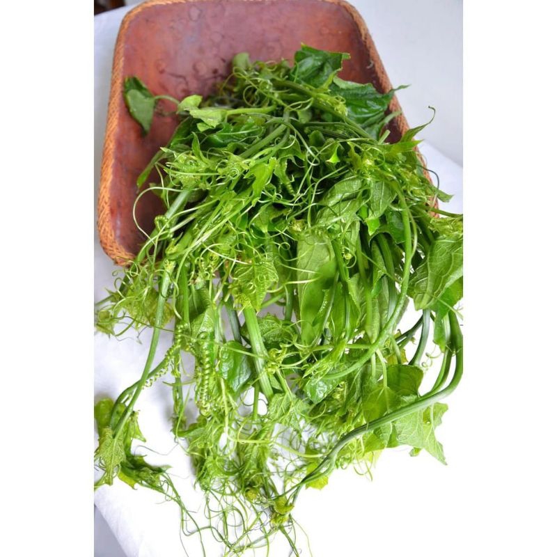 

Sayur Pucuk Labu 750 g
