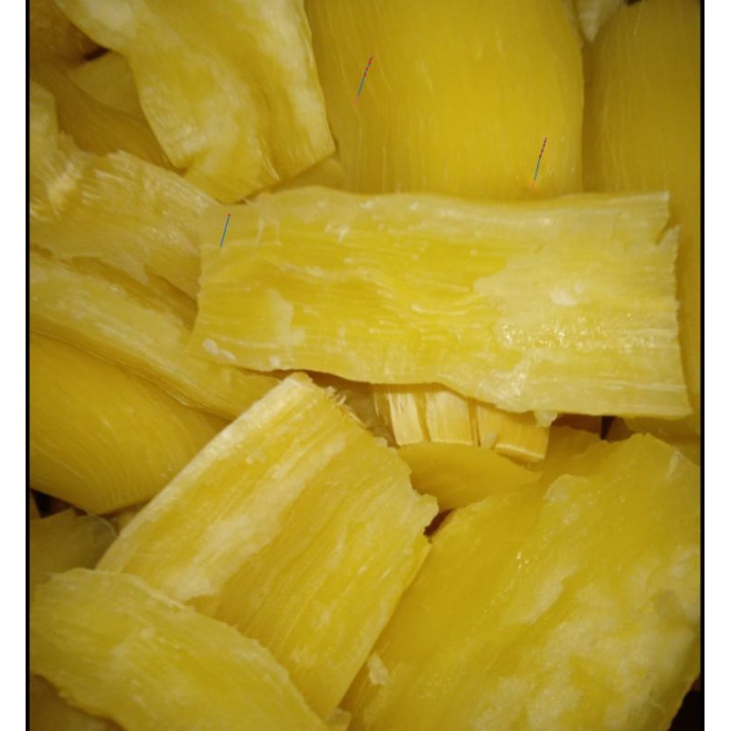 

Singkong Mentega 1 Kilogram