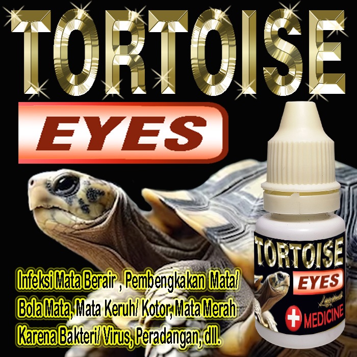 TORTOISE EYES OBAT TETES MATA KURA-KURA DARAT SULCATA REPTILE BERAIR BENGKAK MERAH MATA TERTUTUP INF