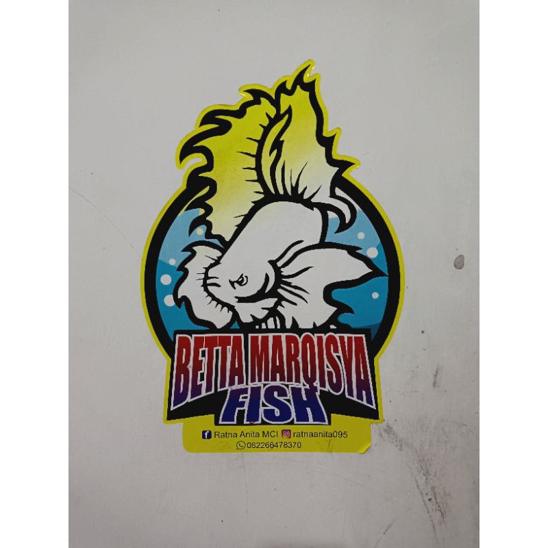 

Stiker isi Channa maru (jualiwak)Marqisyafish