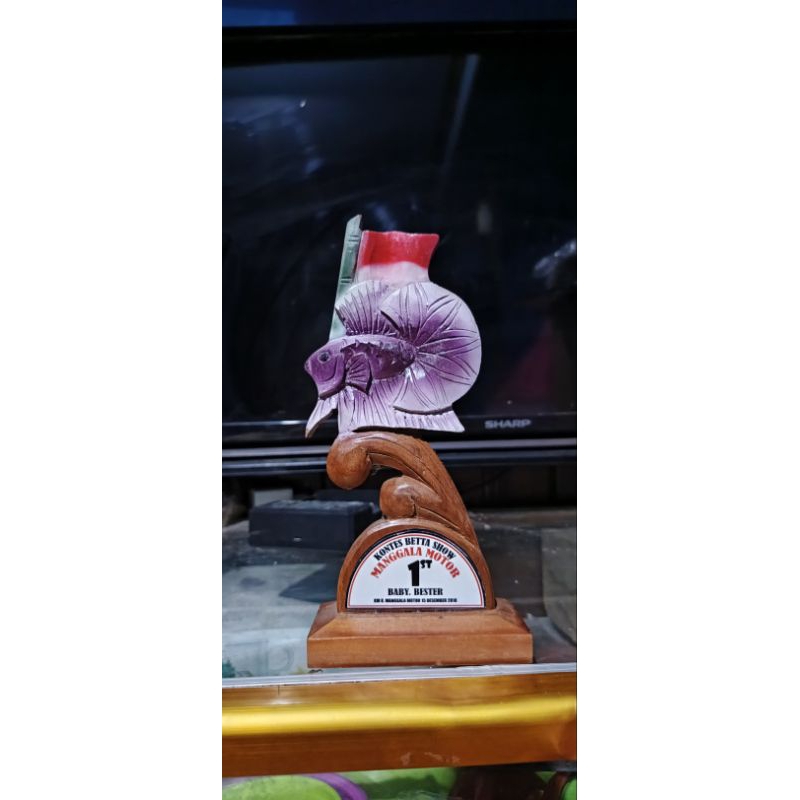 TROPI PIALA CUPANG EDISI 17 AGUSTUS LIMITIDE EDITION