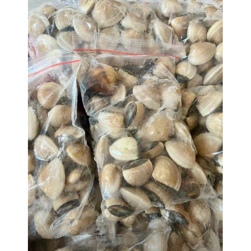 

Kerang Kepah Cangkang 500 Gram