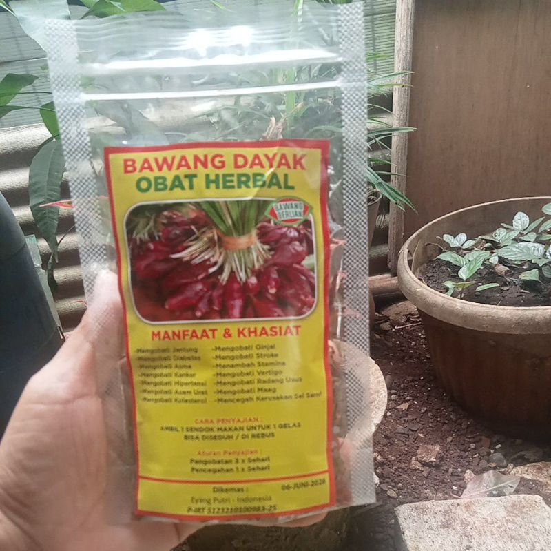 

Obat Herbal BAWANG DAYAK/Teh seduh/ Rebus bawang Dayak berlian