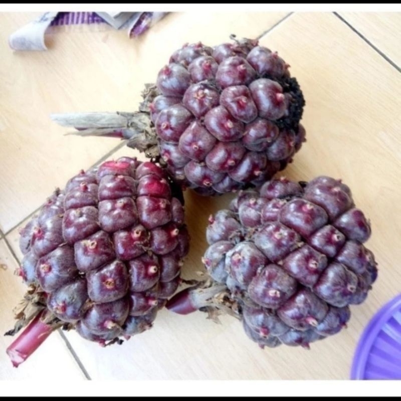

1 kg buah honje merah laka segar