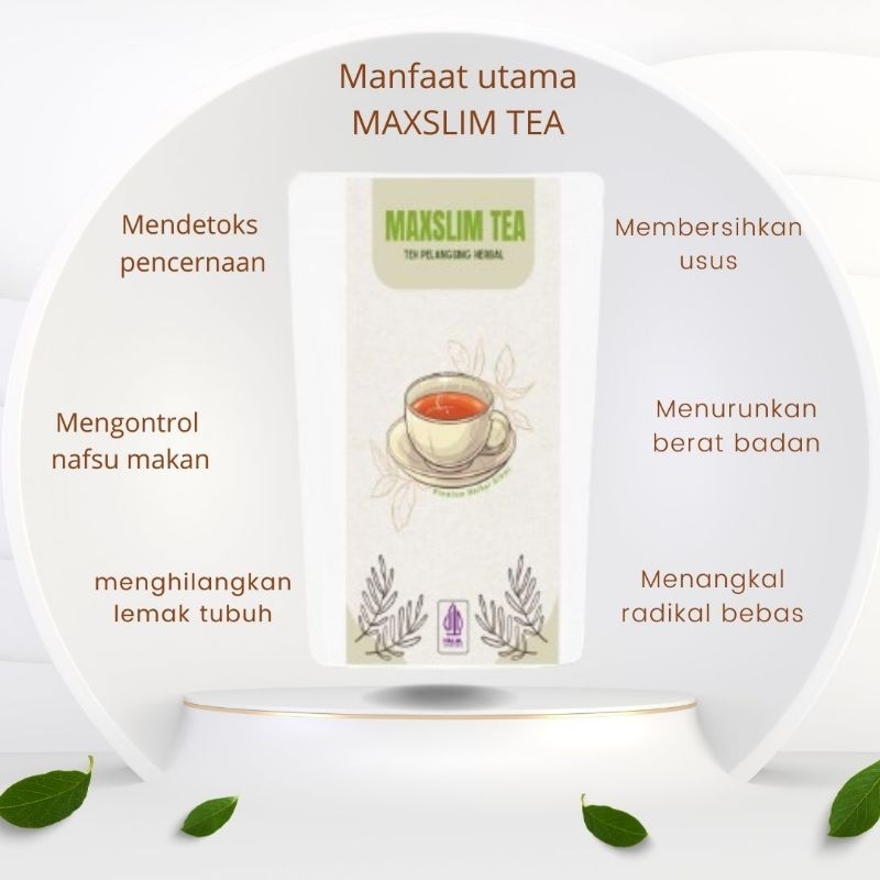 

MAXSLIM TEA teh herbal cina yang dapat membantu menurunkan berat badan, mengontrol nafsu makan