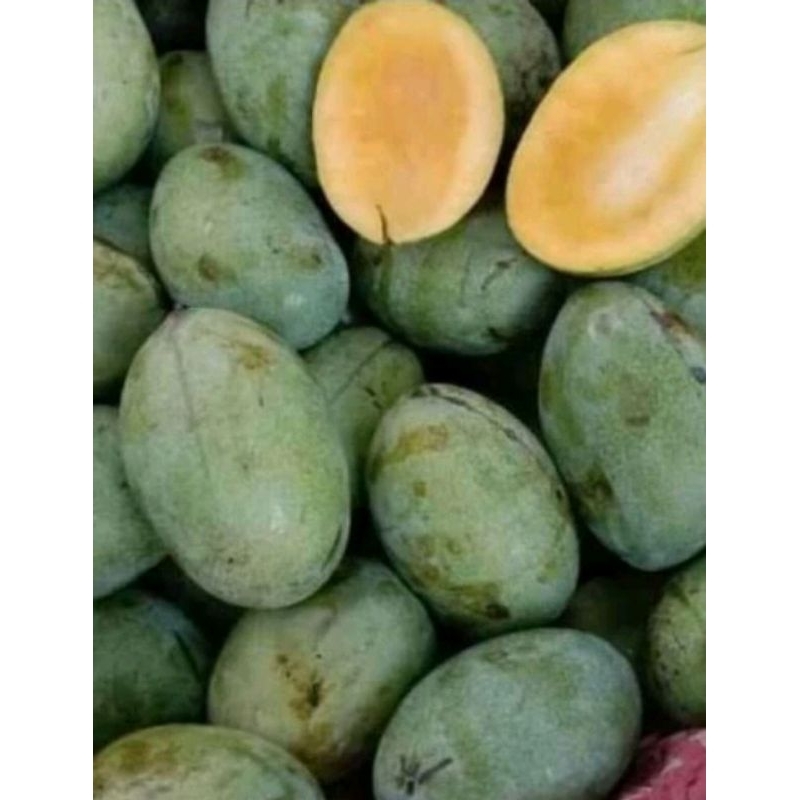 

mangga manalagi atau harum manis 1kg