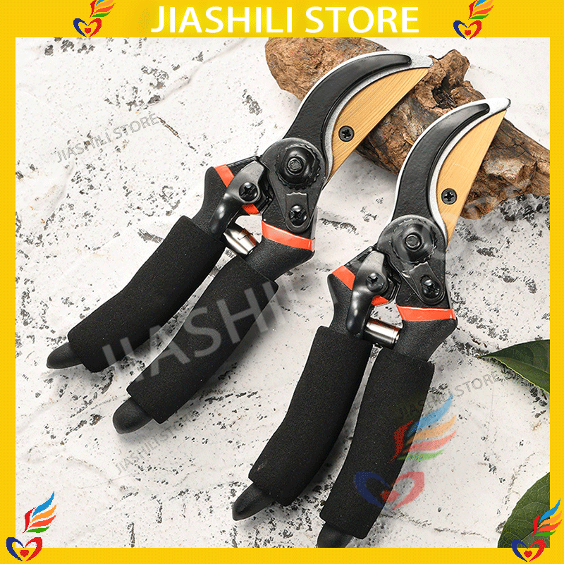 Jiashili GUNTING BUNGA/GUNTING DAHAN/ Gunting Ranting  BESI