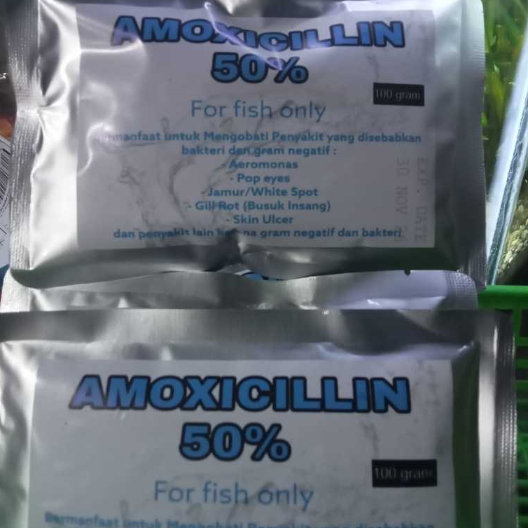 100 gram amoxillin BESAR antibiotik ikan obat ikan 100 gram import