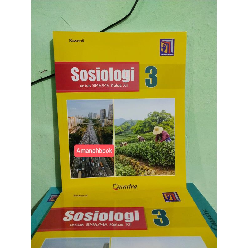 Buku Sosiologi SMA Kelas 12 Kurikulum Merdeka Quadra