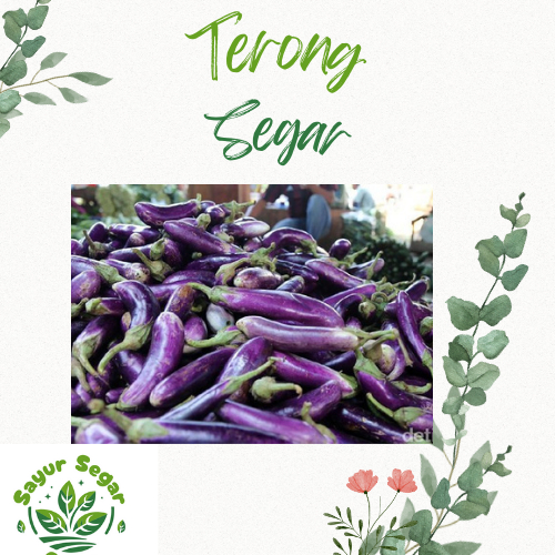 

Terong Segar 500 gram