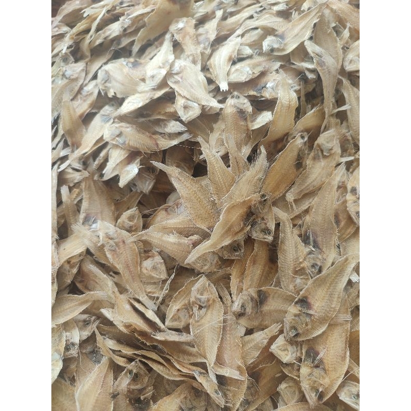 

Ikan Kering Khas MJ Tegal 500gr