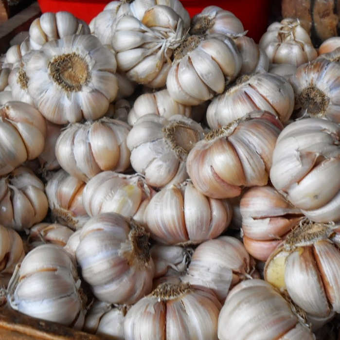 

BAWANG PUTIH HONAN SUPER BERSIH 500 Gram, 1KG