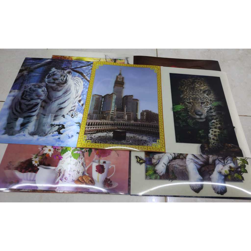 Poster 3D Pemandangan, Hewan dan Alam