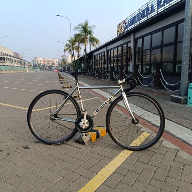 Frame Only Bianchi Pista Steel