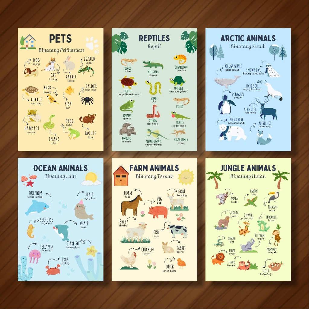 Poster Hewan, Poster Animals, Poster Edukasi Anak Nama Hewan Indonesia Inggris Wipe and Clean A3