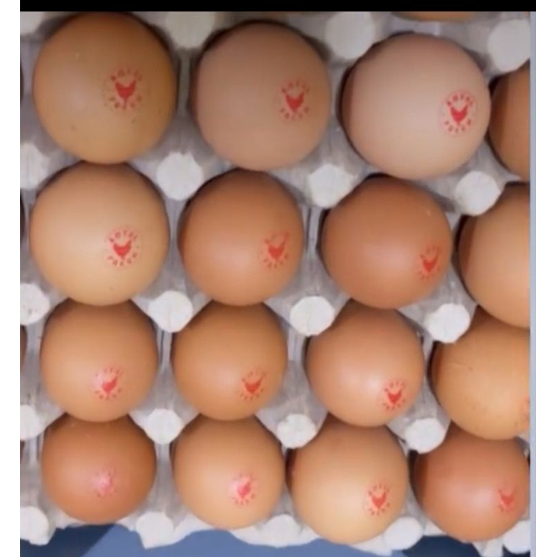 

Telur Omega 3 low cholestrol Royal Organik