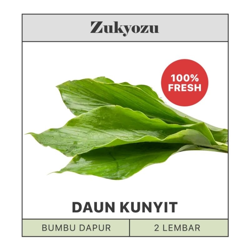 

Daun Kunyit Segar