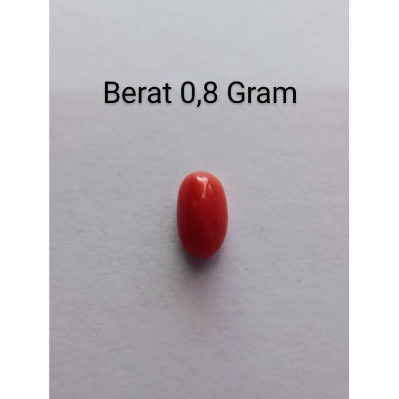 Marjan Tunisia ( Mediterania ) 0,8 Gram